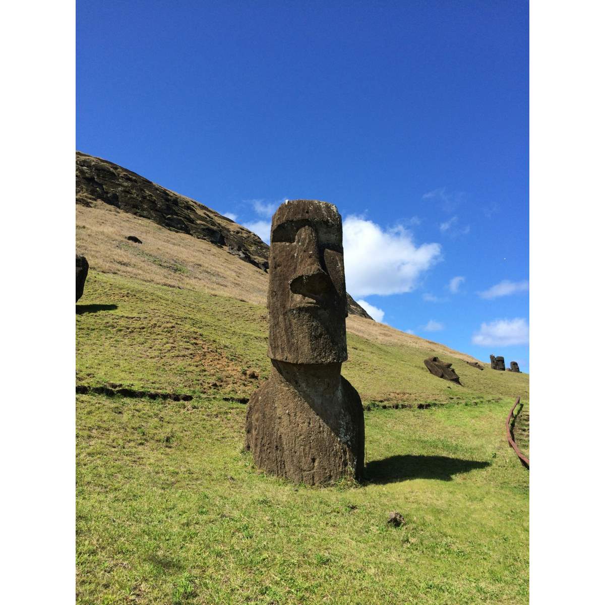 Osterinsel Moai Kopf